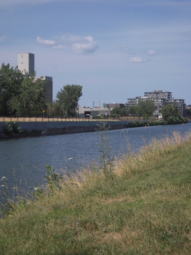 grassing bank looking over the blue water of the Lachine Canal